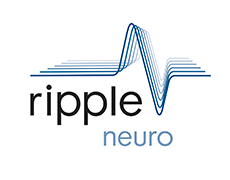 ripple-neuro 